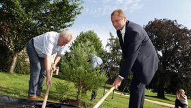 Zahrádkaření na zámečku v Lánech: Prezident Zeman ukázal, jak to umí s lopatou