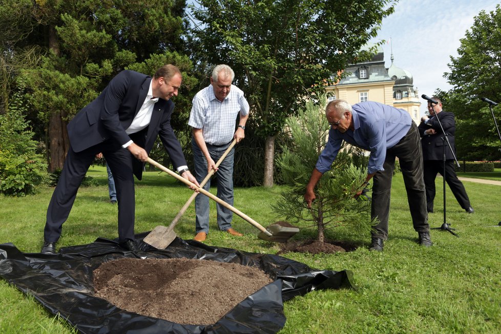 Prezidentu Zemanovi pomohl se sázením sekvojovce obrovského ministr životního prostředí Podivínský