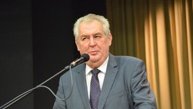 Prezident Miloš Zeman a Vladimír Špidla nemají nejlepší vztahy.