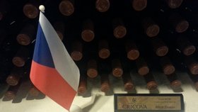 Pěkný dárek pro Miloše Zemana: V Moldavsku dostal 500 lahví vína