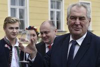 Zeman podepsal vinařskou novelu. Víno asi podraží, černý trh má zkrotnout