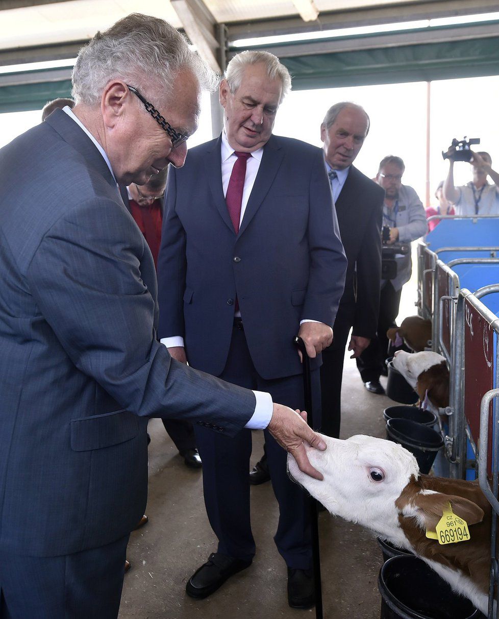 Miloš Zeman strávil tři dny na návštěvě Vysočiny. Prohlédl si i kravín v Nové Vsi.