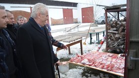 Prezident Zeman zavítal do Hodonína.