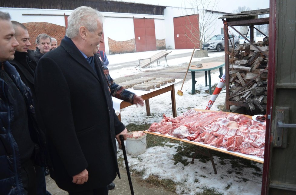Prezident Miloš Zeman při zabijačce na Slováckém statku v Hodoníně
