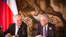 Rakouského prezidenta Van Der Bellena přijal Miloš Zeman na Pražském hradě v červnu 2017