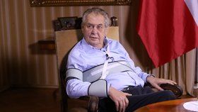 Rychetský kritizoval směřování Miloše Zemana, podléhá podle něj populistickým postojům