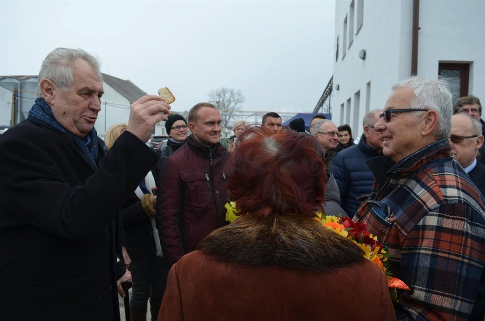 Prezident Miloš Zeman zahájil při zabíjačce na Slováckém statku v Hodoníně výroční zasedání své bývalé vlády