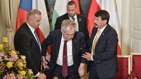 Summit V4 v Lánech: Prezidentu Zemanovi pomáhal i maďarský prezident János Áder.