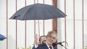 Miloš Zeman v zámeckém parku v Čechách pod Kosířem zasadil památeční strom.