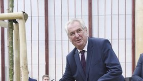 Miloš Zeman v zámeckém parku v Čechách pod Kosířem zasadil památeční strom.