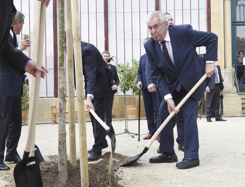 Miloš Zeman v zámeckém parku v Čechách pod Kosířem zasadil památeční strom.