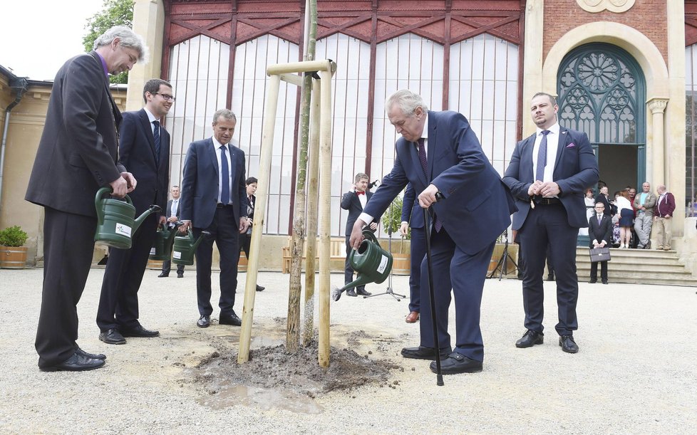 Miloš Zeman v zámeckém parku v Čechách pod Kosířem zasadil památeční strom.