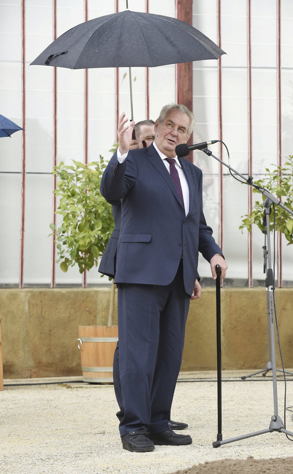 Miloš Zeman v zámeckém parku v Čechách pod Kosířem zasadil památeční strom