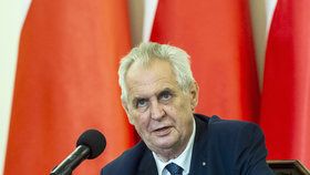 Prezident Miloš Zeman ohrozil podle senátního výboru výrokem o novičoku bezpečnostní zájmy ČR.