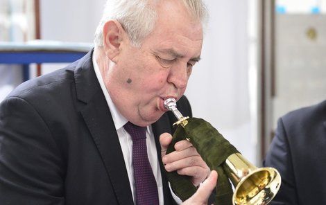 Miloš Zeman a jeho marný boj s polnicí.  