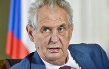 Zeman znovu k soudu