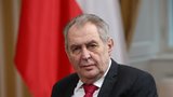 Zeman našel kancelář v Dejvicích, asistovat mu bude Ivana. Za nájem nezaplatí ani korunu