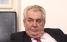 Prezidentův lékař, ministr Holcát: Mrzutý Zeman na vozíku? Až 6 týdnů!