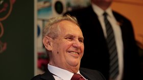 Zeman nejmenuje Zikmundovou viceprezidentkou NKÚ. „Nerozumím tomu,“ říká kandidátka. Vláda necukne