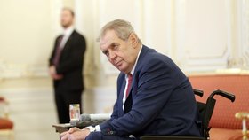 Prezident Miloš Zeman.