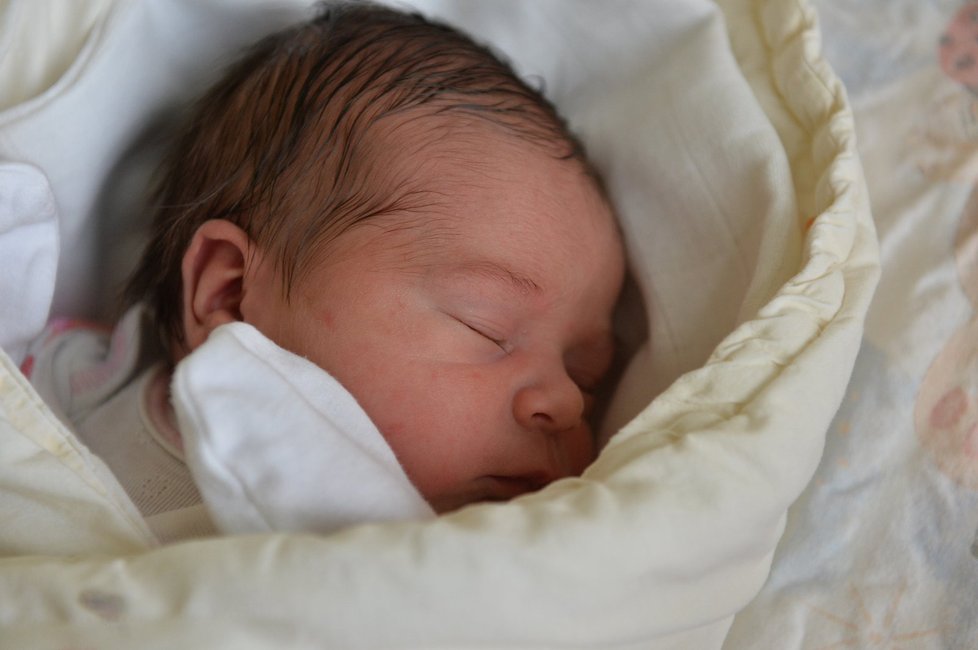 První holka nového roku se v Praze narodila minutu po půlnoci na 1. ledna v porodnici U Apolináře. Dívka Eliška má 48 centimetrů a 3170 gramů.