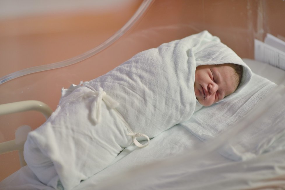 Novorozenecký screening je od ledna rozšířen o další onemocnění (ilustrační foto)