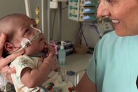 Bojuje o život už několik týdnů: Mia po předčasném porodu vážila jen 480 gramů!
