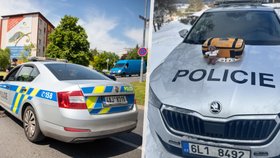 Policisté zachránili život čtyřletému Jiříčkovi (vlevo ilustrační foto)