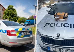 Policisté zachránili život čtyřletému Jiříčkovi (vlevo ilustrační foto)
