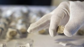 Unikátní nález stovek českých denárových mincí z poslední třetiny 10. století na území Pardubického kraje byl představen 13. ledna v Rytířských sálech pardubického zámku.