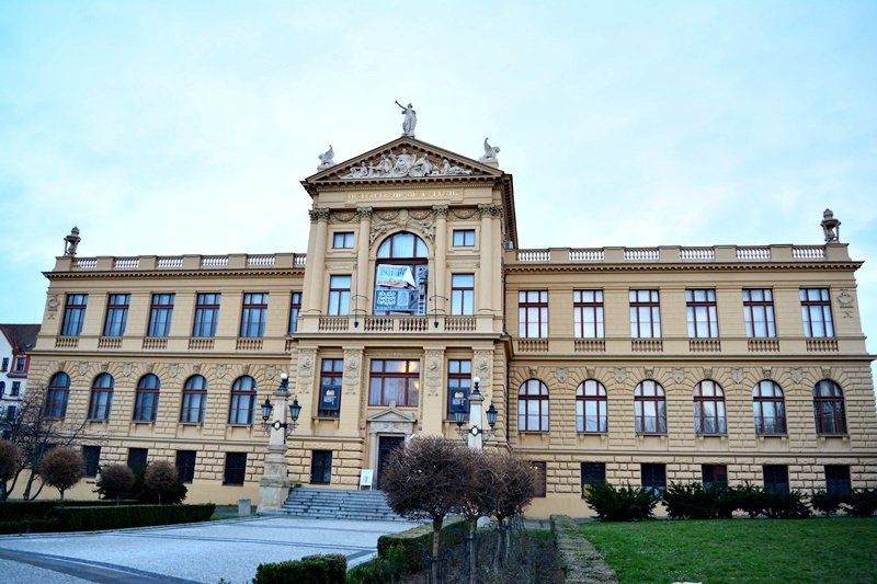 Poklad uložený v keramické nádobě, tzv. loštickém poháru, překryté kusem kůže ležel při nálezu pod podlahou.