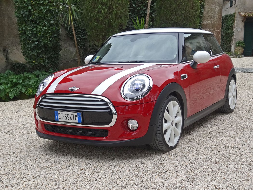 Mini New Mini