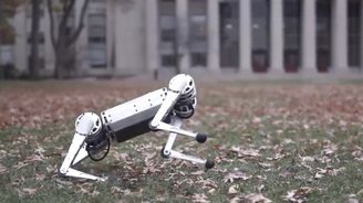Mini Cheetah: Malý robotický čtyřnožec z dílny MIT je rychlý, mrštný a umí i salta