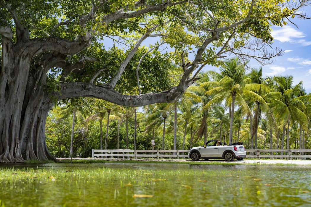 Mini Cooper SE Cabrio One-Off