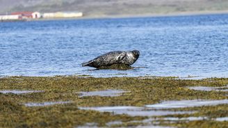 Mini Countryman SE ALL4 Mini Countryman SE ALL4