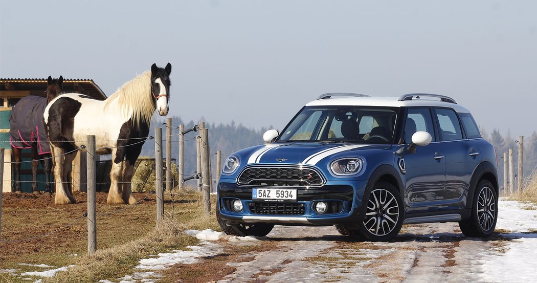 Mini Countryman