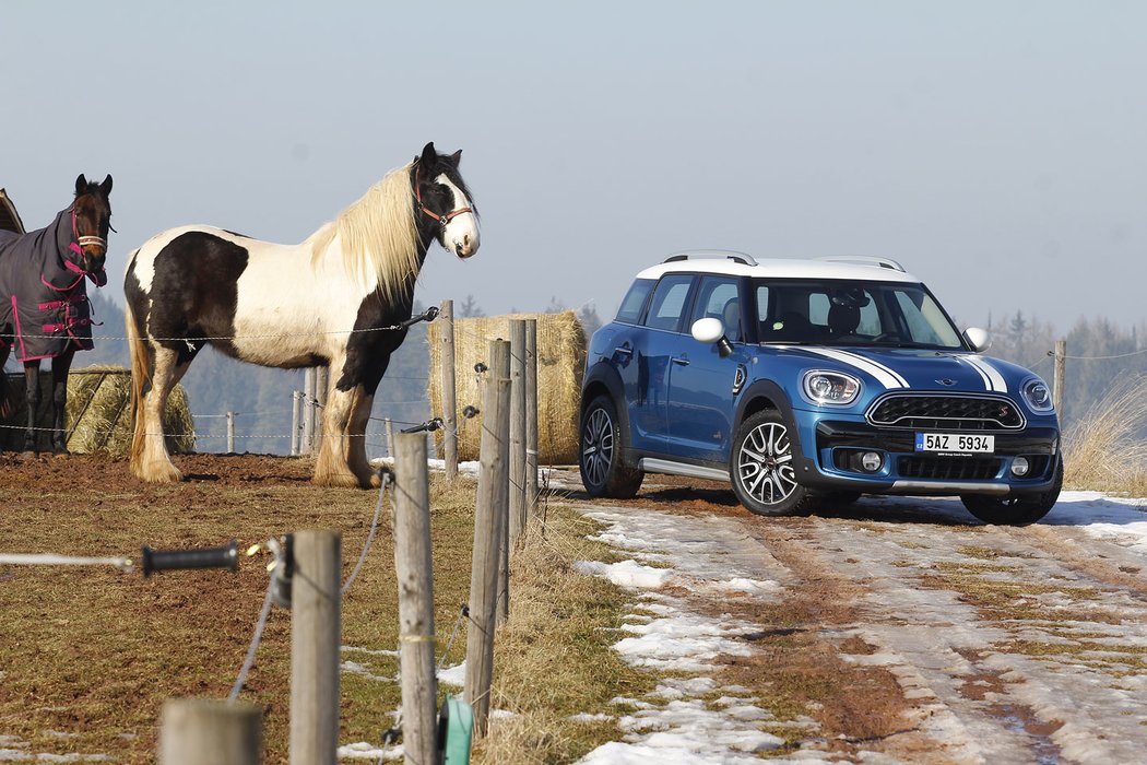 Mini Countryman