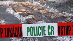 Policejní pyrotechnici na Mladoboleslavsku zneškondnili několik desítek kusů nevybuchlé munice