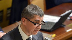 Ministr financí a majitel Agrofertu Andrej Babiš