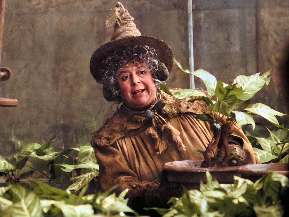 Harry Potter: Profesorka Pomona Prýtová (v originále Pomona Sprout, hraje Miriam Margolyes) učila v Bradavicích bylinkářství a zároveň byla ředitelkou Mrzimoru.