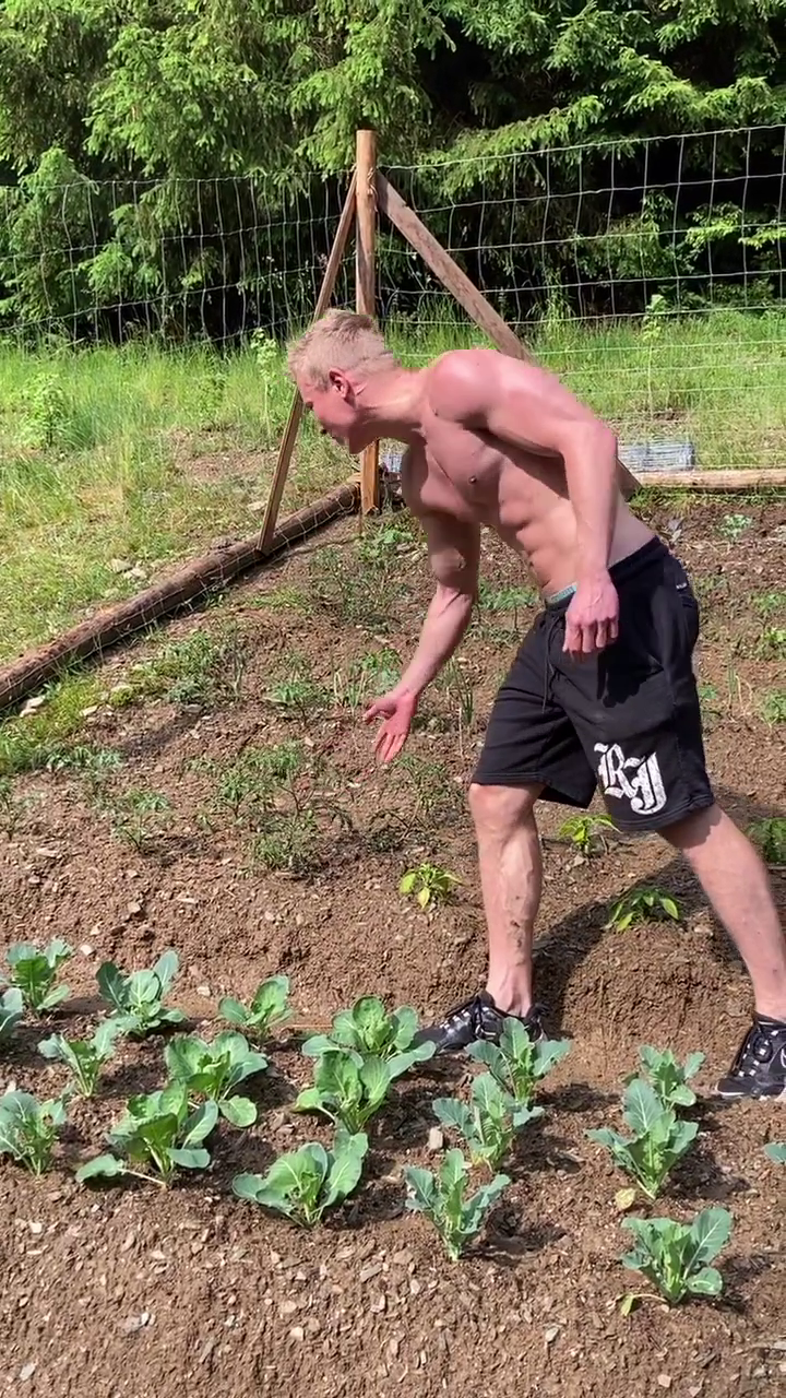 Zahrádkář Miro Šmajda ukázal, jak pěstuje zeleninu.