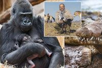 Zvířata očima ředitele Zoo Praha Bobka: Takhle je neznáte!