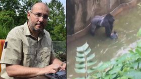 Miroslav Bobek na chatu Blesk.cz prozradil, že nebyla jiná možnost, než gorilího samce v americké zoo zastřelit.