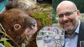 Sbírka pro Austrálii stále pokračuje. Pražská zoo vybrala přes 22 milionů