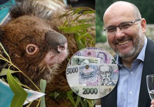 Sbírka pro Austrálii stále pokračuje. Pražská zoo vybrala přes 22 milionů