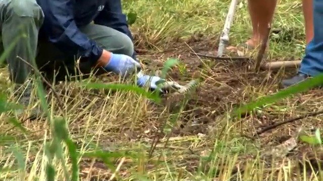 Pátrání po ostatcích obětí vraha ve slovenské obci zliechov.