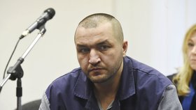 Miroslava Štembírka poslal ostravský krajský soud na 17,5 roku do vězení za pokus vraždy v budově školky ve Frýdku-Místku.