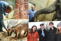 Táborský vyvedl rodinu do ZOO! Zavzpomínal na »chlupatou kolegyni» z Lotranda a Zubejdy