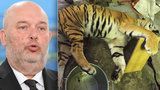 Konec kontaktních ZOO a mazlících koutků: Ministr si došlápne po masakru tygrů na chovatele