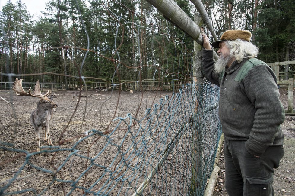 Miroslav Vojtěch v hájovně choval řadu zvířat